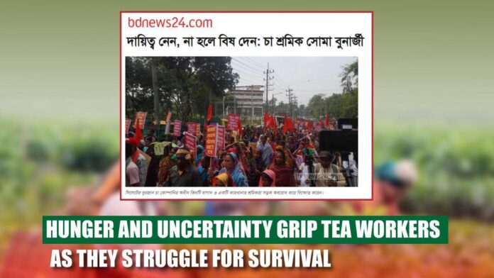 Hunger and Uncertainty Grip Tea Workers as They Struggle for Survival