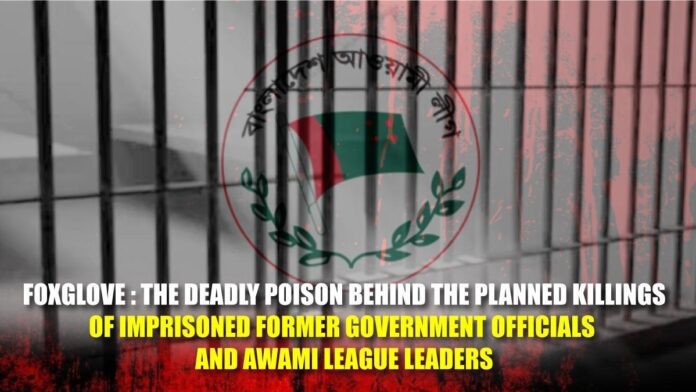Foxglove The Deadly Poison Behind the Planned Killings of Imprisoned Former Government Officials and Awami League Leaders Foxglove The Deadly Poison Behind the Planned Killings of Imprisoned Former Government Officials and Awami League Leaders